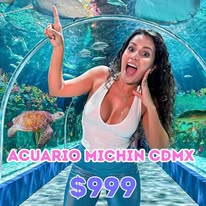 Acuario Michin CDMX