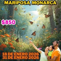 Mariposa Monarca